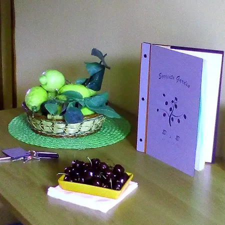 住宿加早餐酒店 Garden