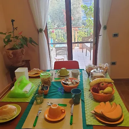 B&B Garden